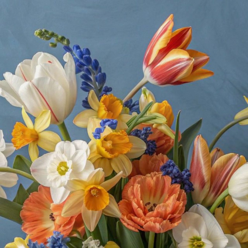 Florais